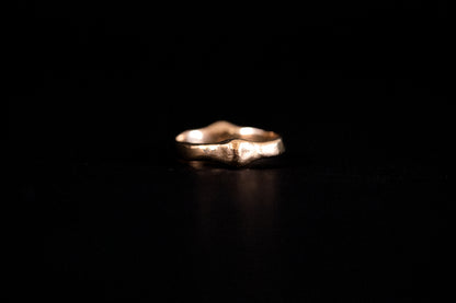 Orbit Ring