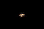 Orbit Ring