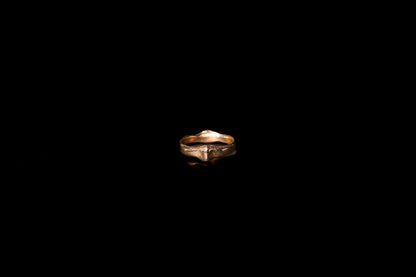 Orbit Ring